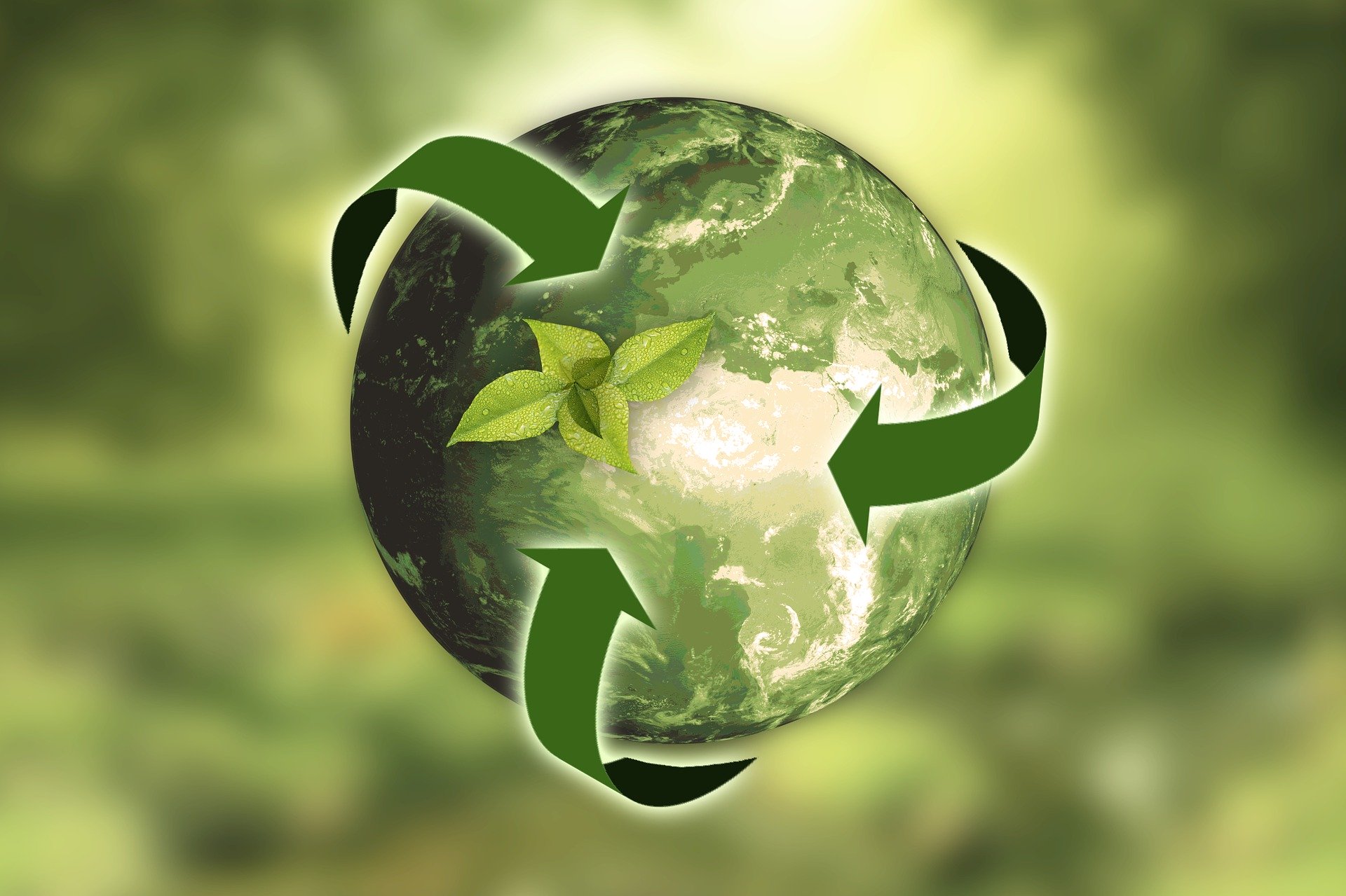 green world